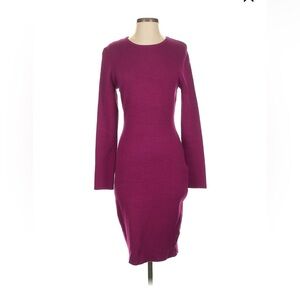 Express Fuchsia Long Sleeve Dress